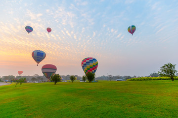 Fototapeta premium hot air balloons flying over Flower field with sunrise at Chiang Rai Province, Thailand