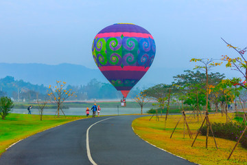 Obraz premium hot air balloons flying over Flower field with sunrise at Chiang Rai Province, Thailand