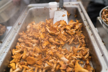 Finferli - A typical mushroom from Tyrol in Upper Adige and Austria