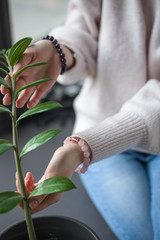 the girl has rose quartz and amethyst bracelets, the girl is holding a branch with green leaves, the girl is holding a indoor flower (vertically, close up).