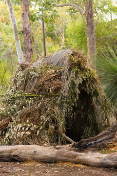 An Aboriginal humpy in the forest, Australia