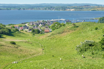 Fototapeta na wymiar Landschaft auf dem Mönchgut der Insel Rügen mit Blick auf Gager