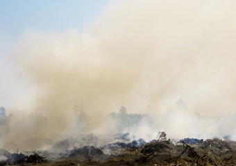 Dense dust and smoke from burning stubble in post-harvest agricultural areas