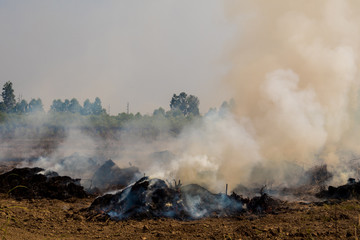 Dense dust and smoke from burning stubble in post-harvest agricultural areas