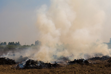 Dense dust and smoke from burning stubble in post-harvest agricultural areas
