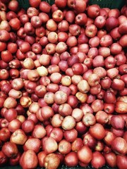 Obraz premium red apples in the market