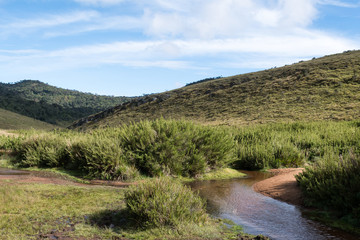 landscape with path of Horton Plains national park
