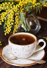 Spring Tea Party against the backdrop of a mimosa flower