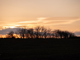 Sunset over the horizon. Golden hour over the field. Orange sky by the sunset. 