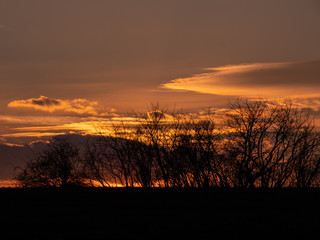 Fototapeta premium Sunset over the horizon. Golden hour over the field. Orange sky by the sunset. 