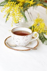 Spring Tea Party against the backdrop of a mimosa flower