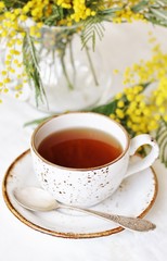 Spring Tea Party against the backdrop of a mimosa flower