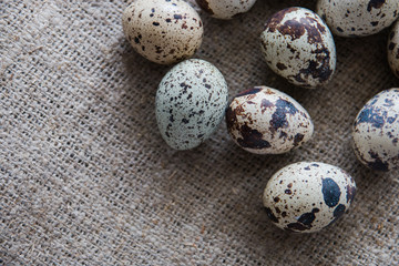 Obraz premium Textured spring background with small quail eggs on burlap background. Ecoproduct. Selective focus
