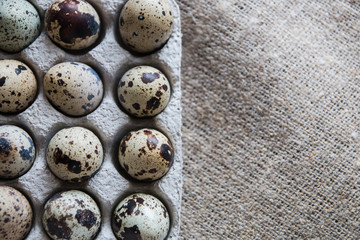 Obraz premium Textured spring background with small quail eggs on burlap background. Eco products. Quail eggs in cardboard packaging