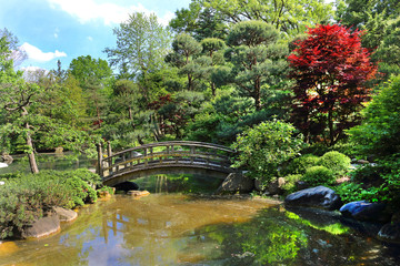 Fototapeta na wymiar bridge in japanese garden