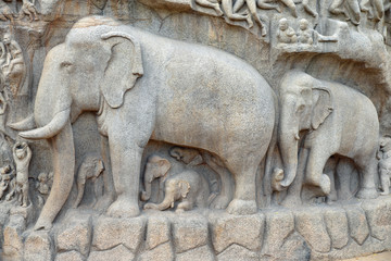 Obraz premium Elephants sculptés à Mallabapuram, Inde du Sud