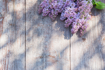 lilac on old wooden background in sunlight