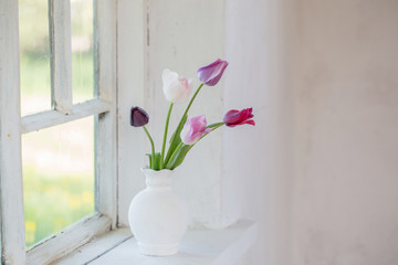 tulips in vase on old windowsill