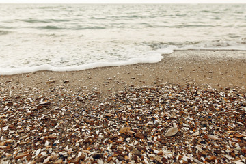 Sandy beach with shells, stones and waves. Seashore close up. Summer vacation and travel concept. Summer wallpaper