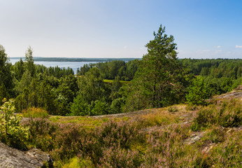 Summer in the North in the Republic of Karelia.
