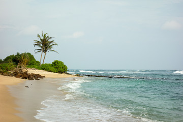lonely beach in Sri Lanka
