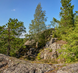 Fototapeta na wymiar Summer in the North in the Republic of Karelia.