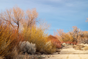 Obraz na płótnie Canvas winter landscape desert valley dirt road Eastern Sierra Nevada mountains California, USA