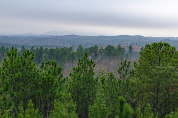 view of mountains and trees