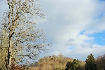 Ruine Harz