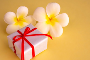 White gift box with tropical white flowers (plumeria) on yellow background. Concept for greeting card, postcard. Copy space.