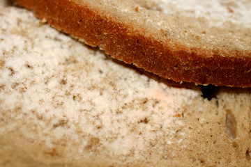 Mold in bread. Rough bread Corrupted substandard.