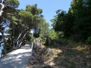Fototapeta premium Cavtat Croatie 3