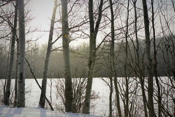 Beautiful Winter Day