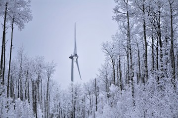 Wind Turbine