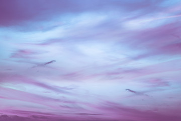 Sky in the pink and blue colors. effect of light pastel colors of sunset clouds