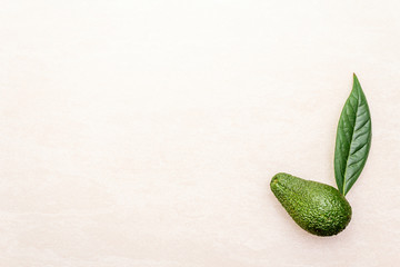 Avocado and avocado leaf. Cooking background. On the stone surface, top view