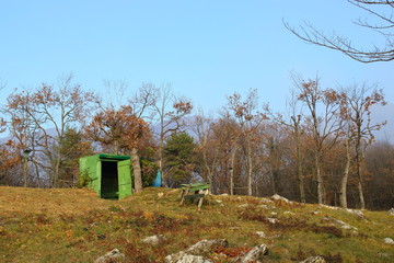 Hunting ambush for the wandering fauna