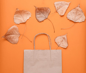 Paper bag for shopping, fallen autumn leaves on orange background. Autumn shopping, sale, Top view, minimalism.