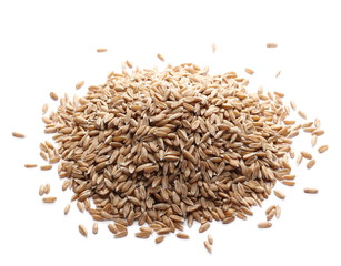Wheat spelt grain heap isolated on white background