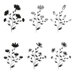 A set of six black hand-drawn flowers on isolated background