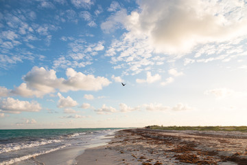 The beach at Isla Blanca near Cancun, QR, Mexico at sunset.