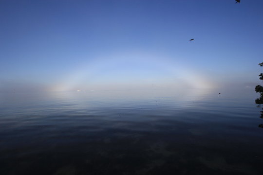 Bright fogbow over Biscayne Bay off Key Biscayne, Florida, on a calm, foggy morning.