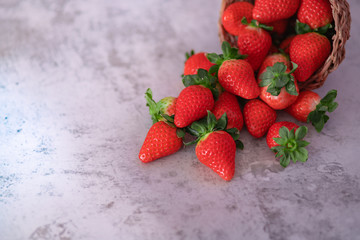Strawberries on dark background. Place to text.