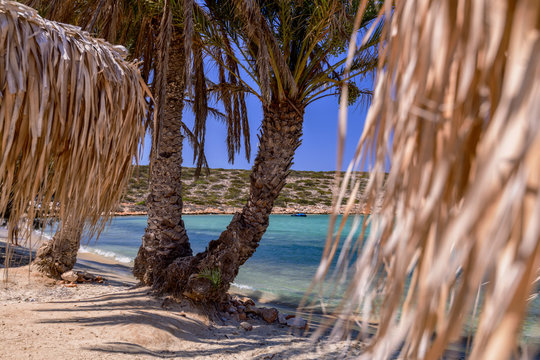 Palm beach (Agia Irini) on Paros island, Greece. Picturesque greek beach with huge palms in Cyclades Islands