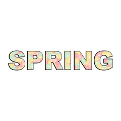 cute colorful vector spring flower text isolated on white background