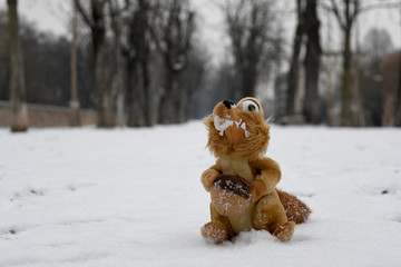 Scoiattolo e neve
