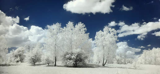 Surreal beautiful infrared edited landscape on a sunny day