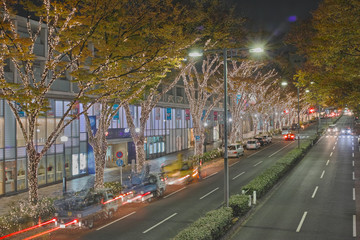 Fototapeta premium 表参道