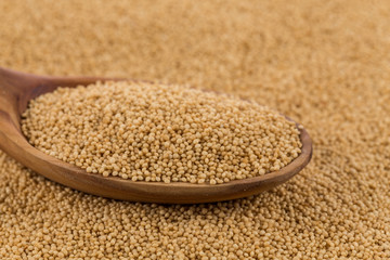amaranth grain closeup