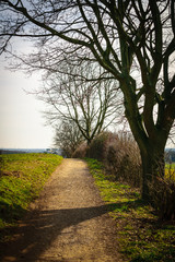 Obraz premium Römerweg